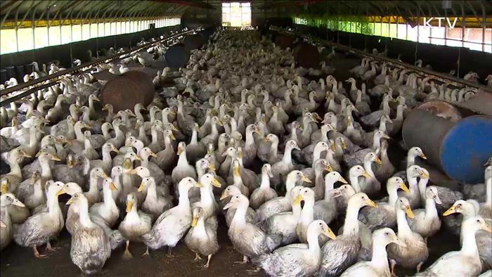 나흘째 의심신고 '0건'…"경각심 늦춰선 안돼"