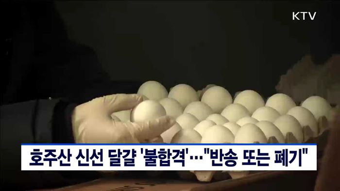호주산 신선 달걀 '불합격'…"반송 또는 폐기"