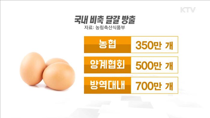설 대비 달걀 2천200만 개 공급…가격안정