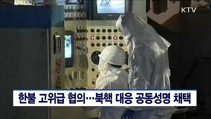 한불 고위급 협의…북핵 대응 공동성명 채택