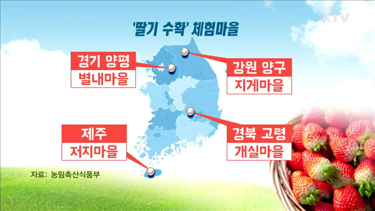 추억 만들기…겨울에 떠나는 '농촌여행코스'