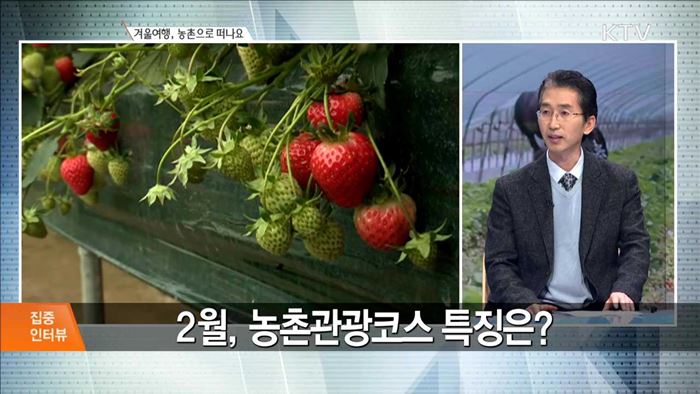 겨울여행, 농촌으로 떠나요 [집중 인터뷰]