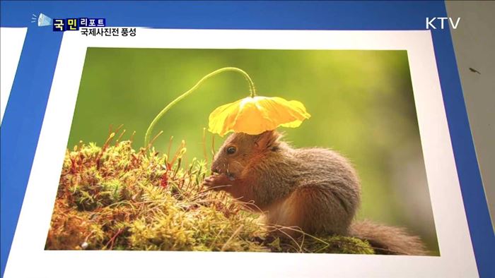 세계적인 사진 작품전 한국 나들이