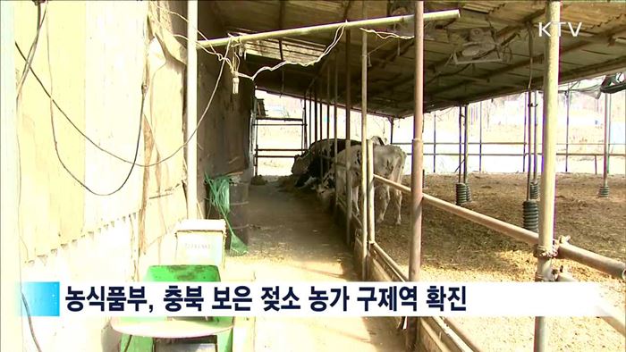 충북 보은 구제역 확진…전국 축산농가 '이동중지'