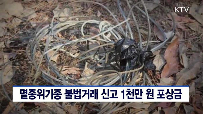 멸종위기종 불법거래 신고 1천만 원 포상금