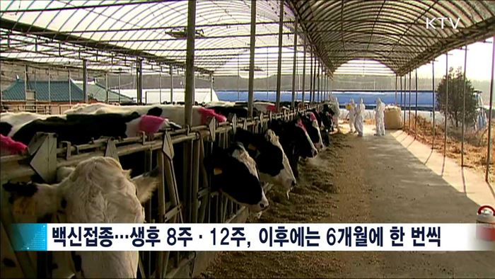 항체형성률 낮아…"올바른 방법으로 접종해야"