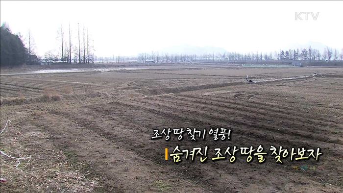 조상 땅 찾기 열풍! 숨겨진 조상 땅을 찾아보자