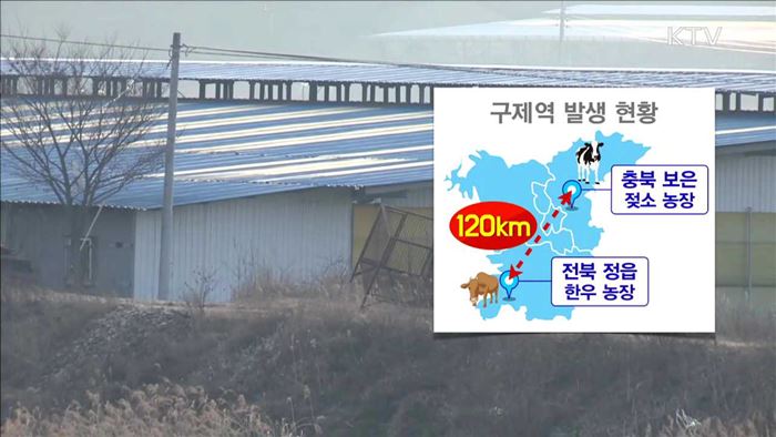 정읍서도 구제역 발생…일제 백신접종 실시