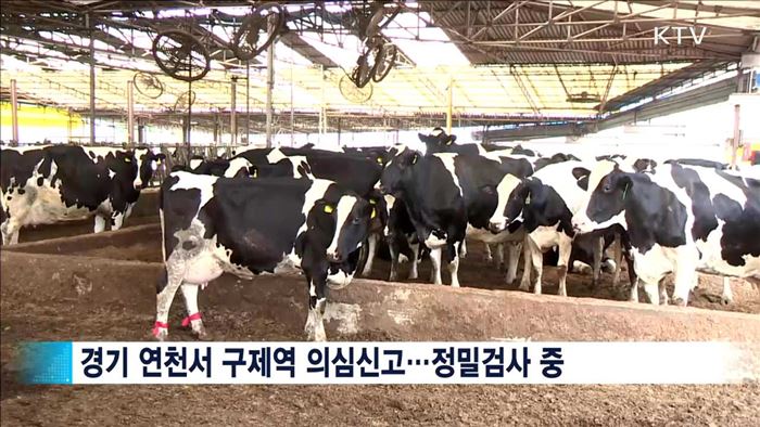 전국 소 314만 마리 일제 백신접종