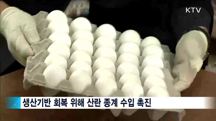 소·돼지고기 가격안정에 만전…축산물 수입 확대