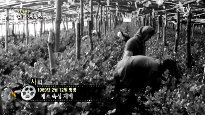 다시보는 대한늬우스 (69.02.12)