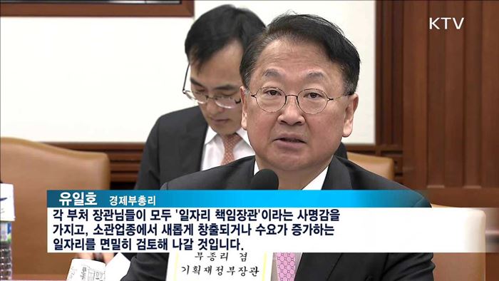 유 부총리 "부처별 일자리 창출 면밀히 검토"