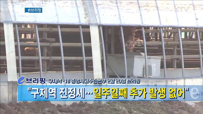 "구제역 진정세···일주일째 추가 발생 없어" [e 브리핑]