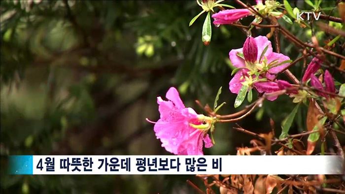 '불청객' 황사 5.4일…3월엔 반짝 '꽃샘추위'