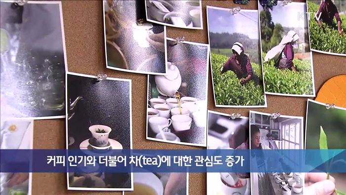 커피 인기와 더불어 차(tea)에 대한 관심도 증가