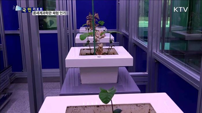 한반도 첫 재배 '콩'의 세계 속으로