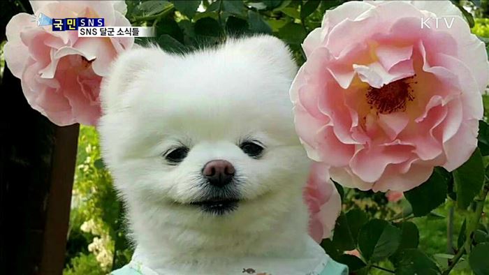 층간소음 해결 지름길, 이웃간 '배려’