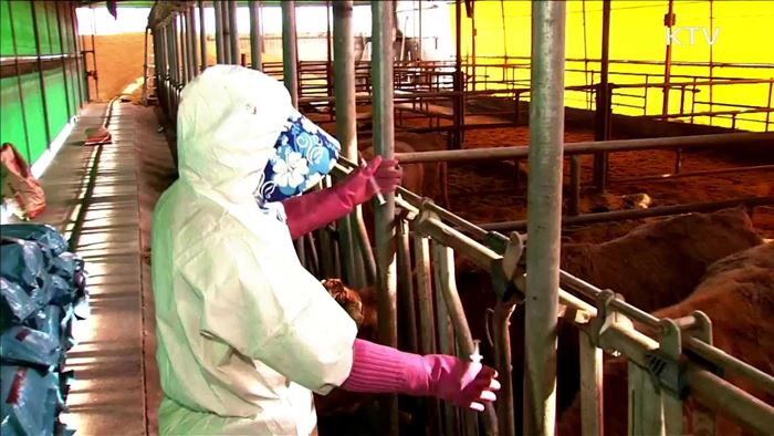 KTV 뉴스 (17시) (548회)