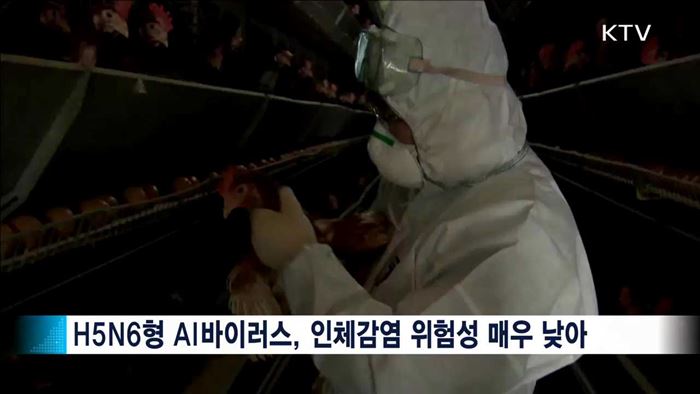 KTV 뉴스 (17시) (549회)