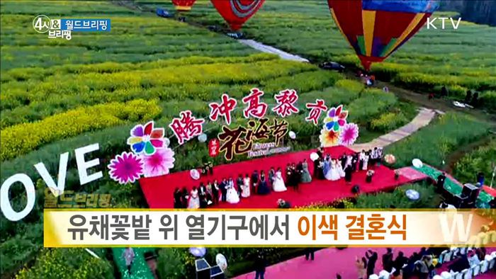 유채꽃밭 위 열기구에서 이색 결혼식 [월드 브리핑]