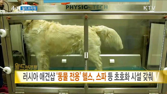 러시아 애견샵 '동물 전용' 헬스, 스파 등 초호화 시설 갖춰 [월드 브리핑]
