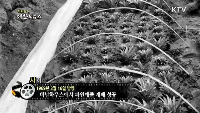 다시보는 대한늬우스 (69.03.16)