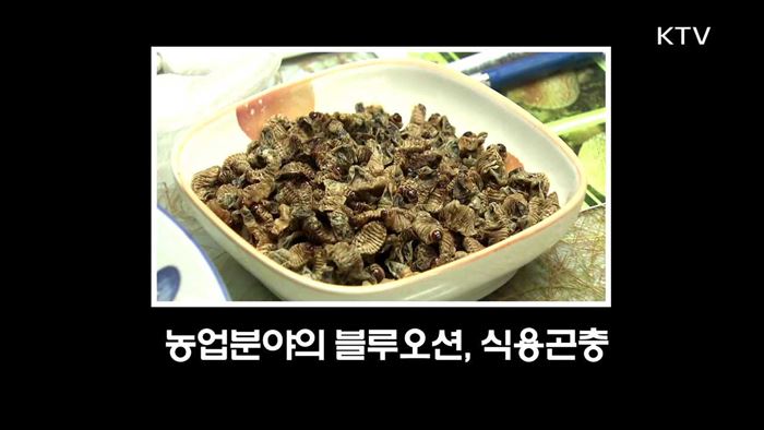 농업분야의 블루오션, 식용곤충