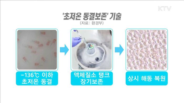 멸종위기종 1급 '미호종개' 인공증식 성공