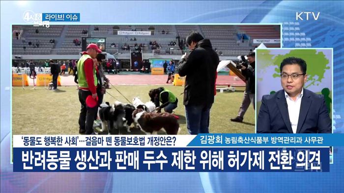 '동물도 행복한 사회'···걸음마 뗀 동물보호법 개정안은? [라이브 이슈]