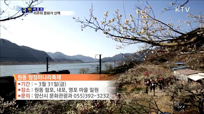 이주의 문화가 산책