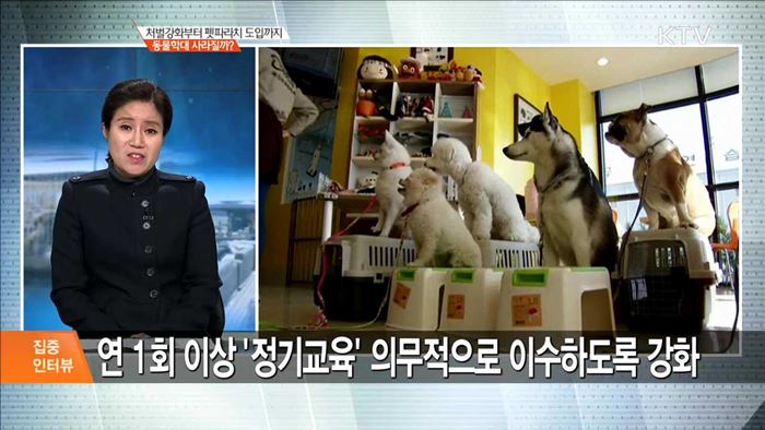 처벌강화부터 펫파라치 도입까지 동물학대 사라질까? [집중 인터뷰]
