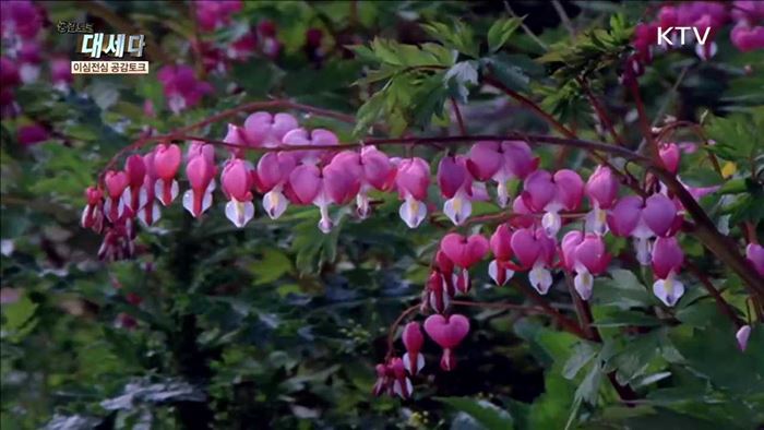 <이심전심 공감토크> 야생화 외