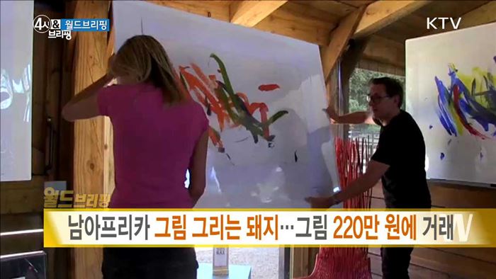남아프리카 그림 그리는 돼지···그림 220만 원에 거래 [월드 브리핑]