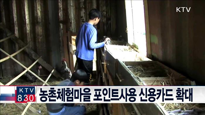 농촌체험마을 포인트사용 신용카드 확대