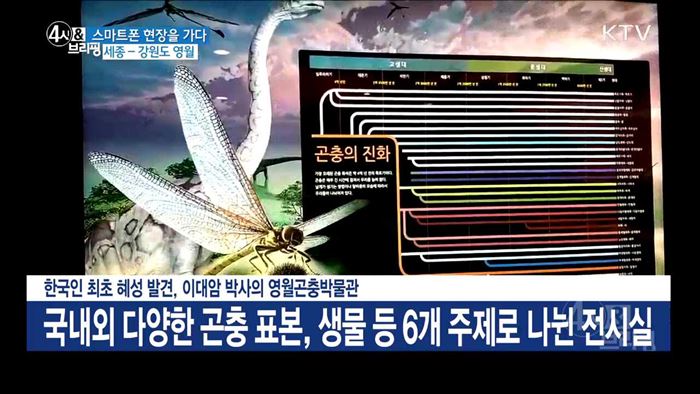 4시& 브리핑 (202회)