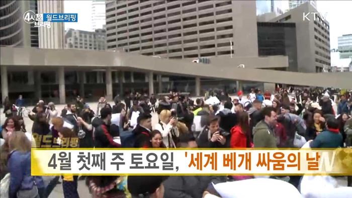 4월 첫째 주 토요일, '세계 베개 싸움의 날' [월드 브리핑]