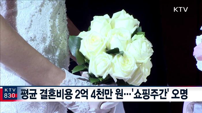 나만의 '작은 결혼식'…대학생 홍보대사 발족