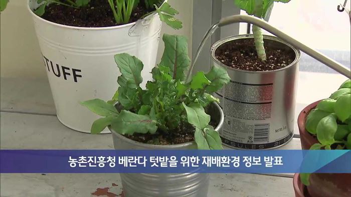 농촌진흥청 베란다 텃밭을 위한 재배환경 정보 발표