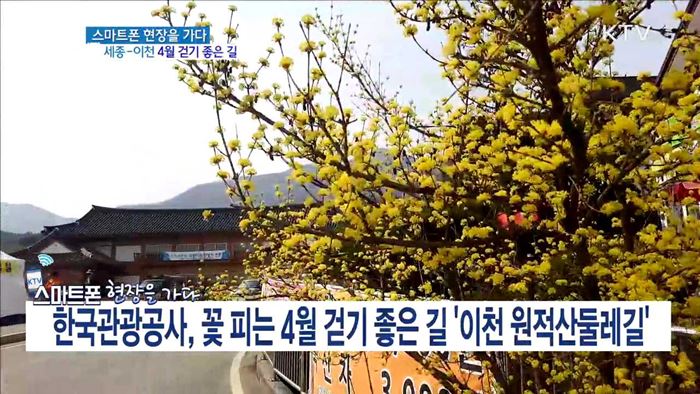 2017 산림 문화 행사 [라이브 이슈]