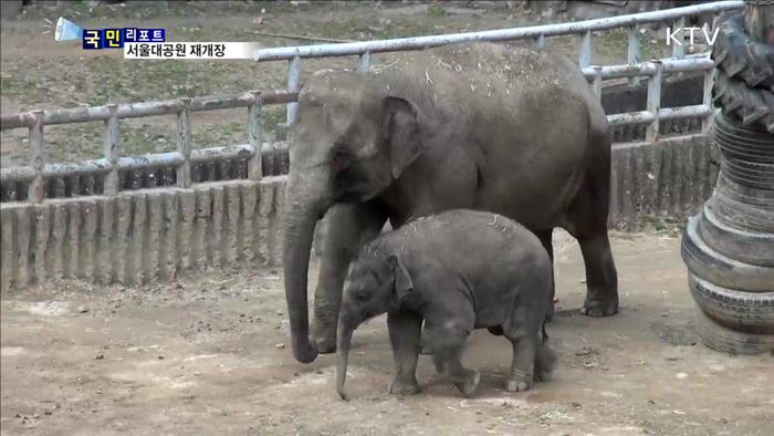 서울대공원 동물원 새봄을 맞아 재개장