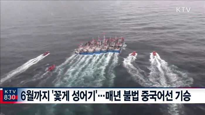 '서해5도 특별경비단' 창단…中 불법어선 전담단속