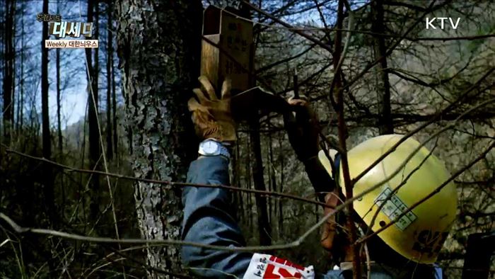  <Weekly 대한늬우스> 4월 첫째 주(3일~9일)의 역사 외