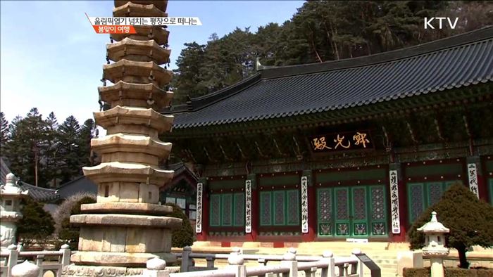 올림픽열기 넘치는 평창으로 떠나는 봄맞이 여행 [이제는 평창입니다]