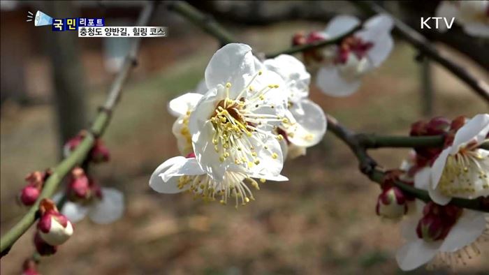 충청도 양반길, '4월에 걷기 좋은 여행길'