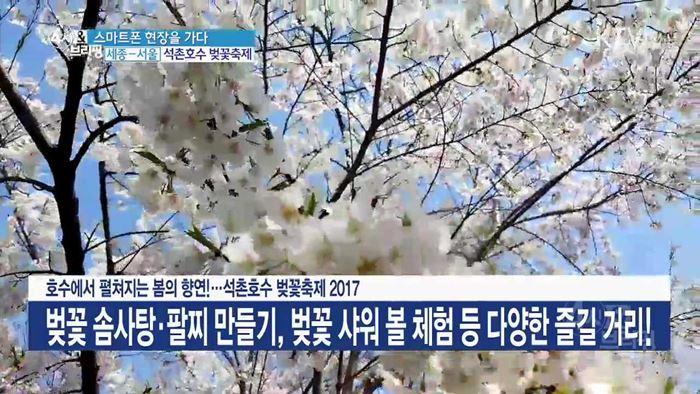 호수에서 펼쳐지는 봄의 향연!···석촌호수 벚꽃축제 2017