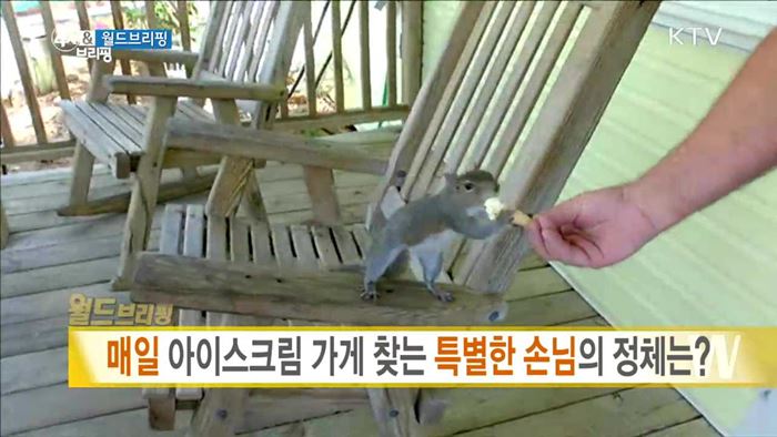 매일 아이스크림 가게 찾는 특별한 손님의 정체는? [월드 브리핑]