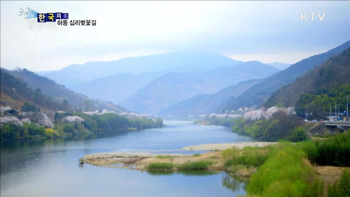 하동 십리벚꽃길 [한국의 美]