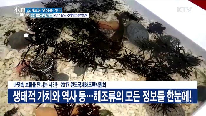 4시& 브리핑 (212회)