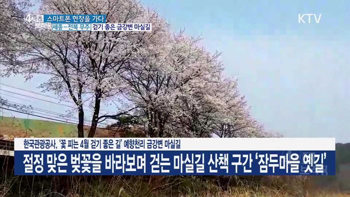 한국관광공사, '꽃 피는 4월 걷기 좋은 길' 예향천리 금강변 마실길 