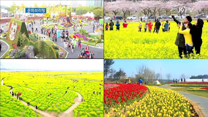 이번 주말 봄꽃 '절정'···전국의 꽃 축제는? [문화 브리핑]